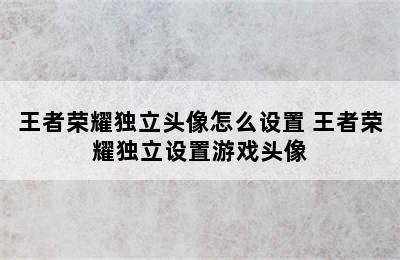 王者荣耀独立头像怎么设置 王者荣耀独立设置游戏头像